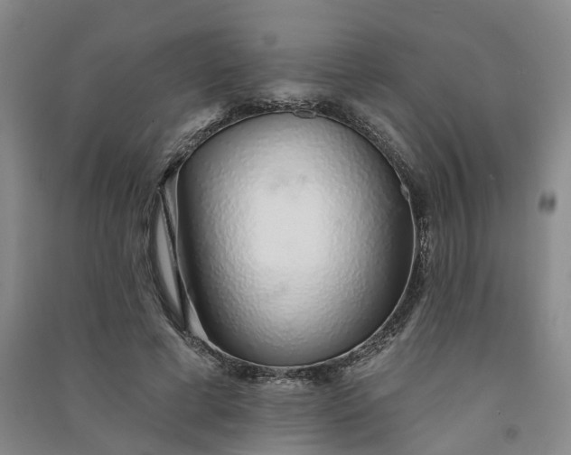 X0000091370593200708171547