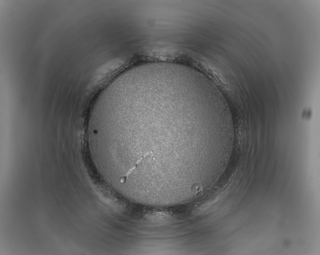 X0000091370594200708171547