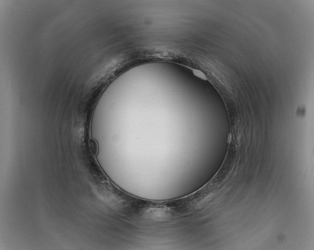 X0000091370595200708171547