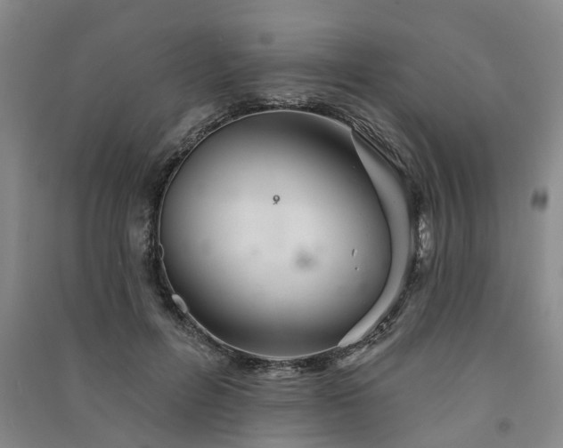 X0000091370600200708171546