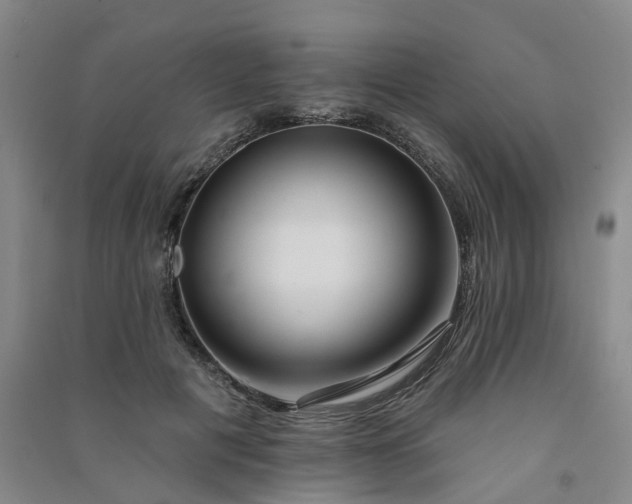 X0000091370601200708171546