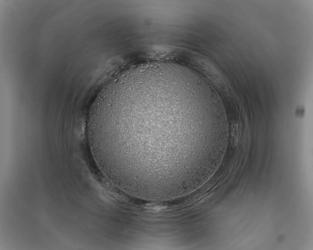 X0000091370602200708171546