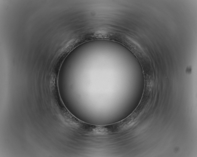 X0000091370603200708171546