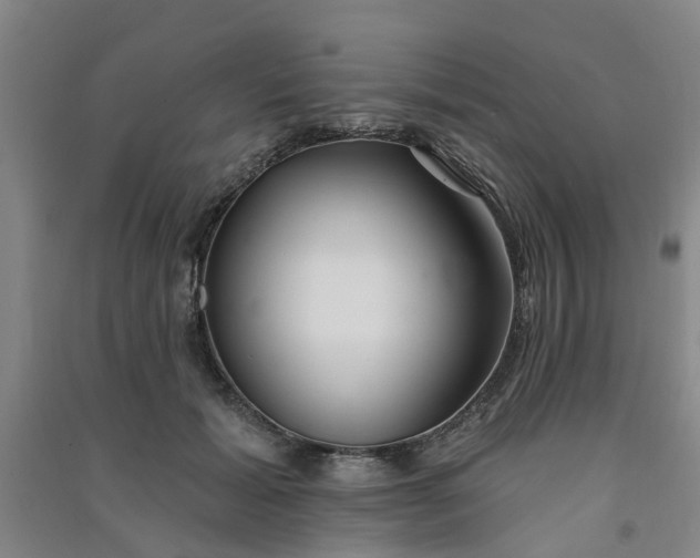 X0000091370605200708171546