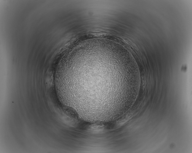 X0000091370606200708171546