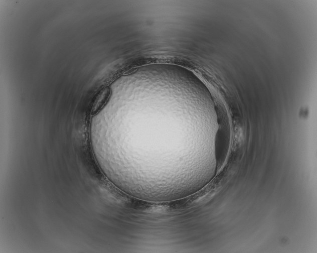 X0000091370609200708171546