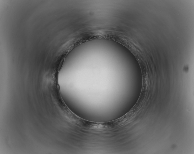 X0000091370611200708171546