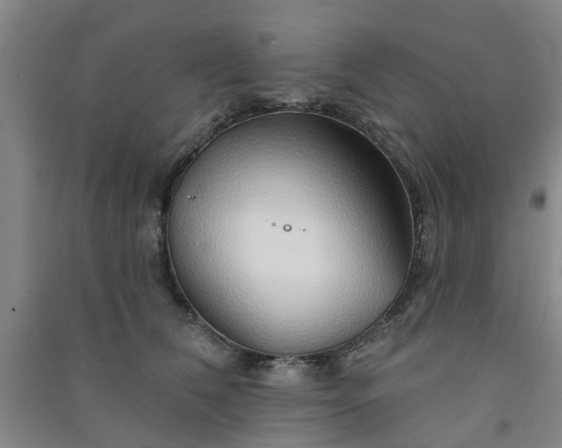 X0000091370612200708171546