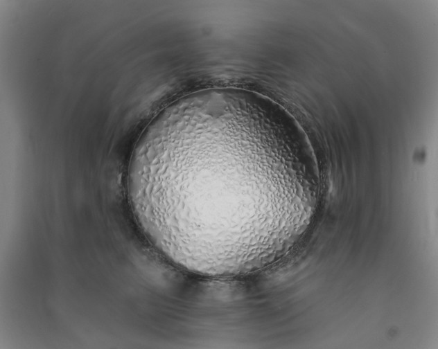 X0000091370615200708171546