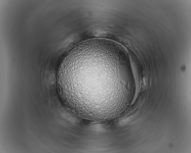 X0000091370620200708171546