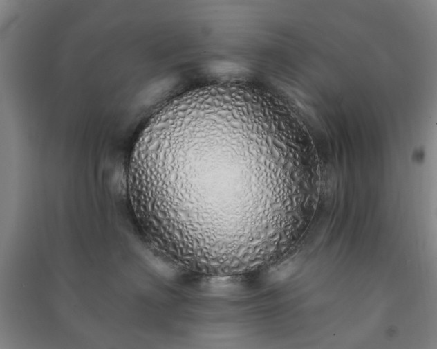 X0000091370622200708171546