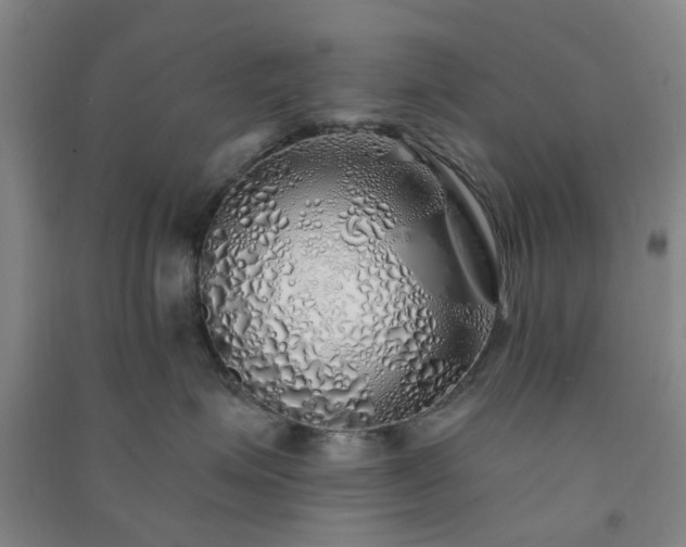 X0000091370623200708171546