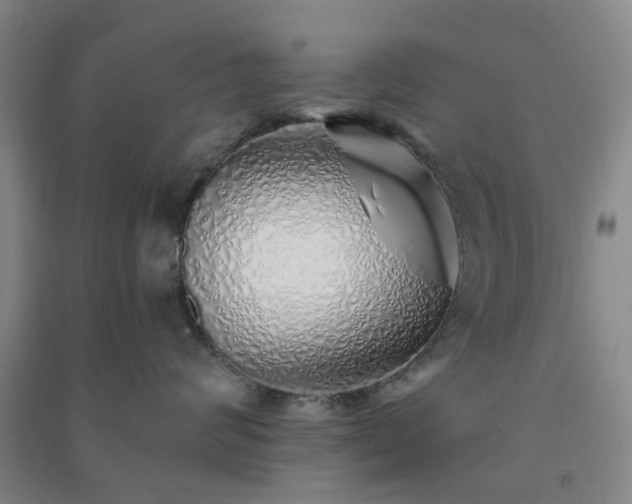 X0000091370624200708171546