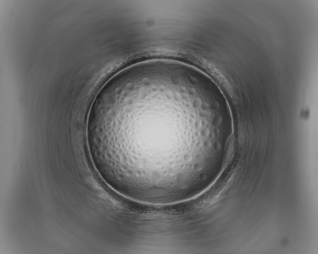 X0000091370625200708171546