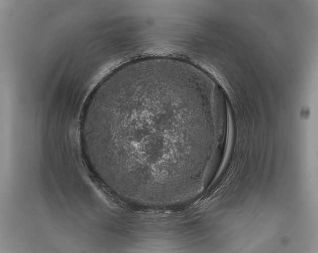 X0000091370626200708171546