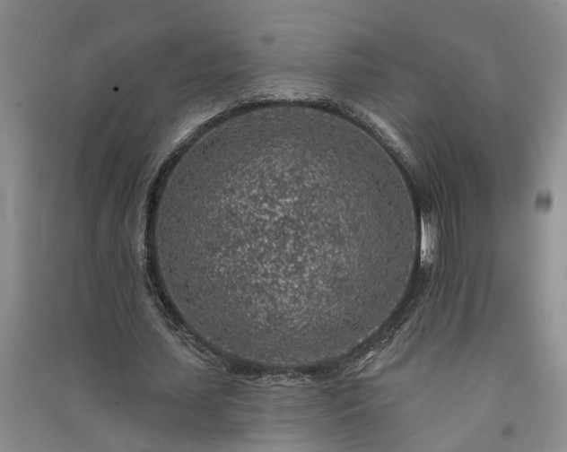 X0000091370627200708171546