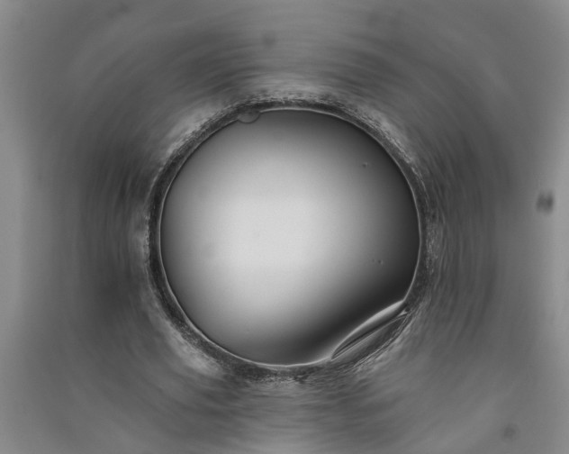 X0000091370629200708171546