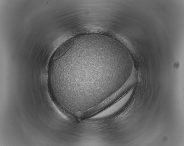 X0000091370630200708171546