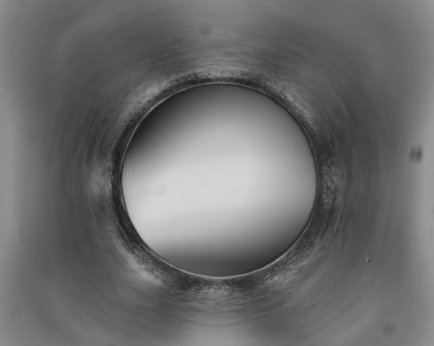 X0000091370631200708171546