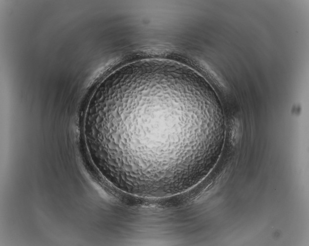 X0000091370634200708171546