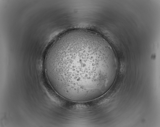 X0000091370636200708171546