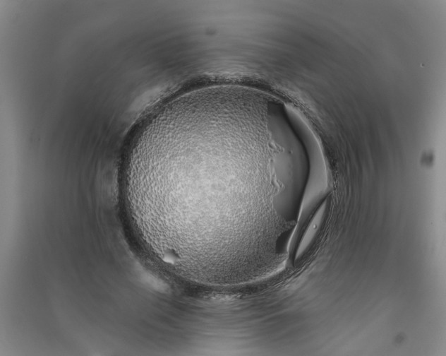 X0000091370638200708171546