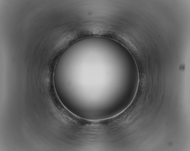 X0000091370639200708171546