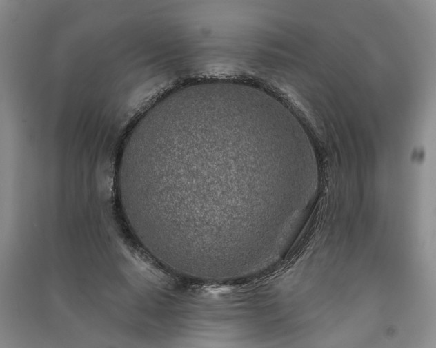 X0000091370640200708171546