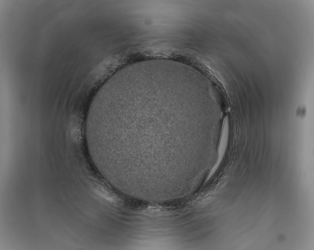 X0000091370641200708171546