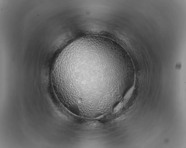 X0000091370642200708171546