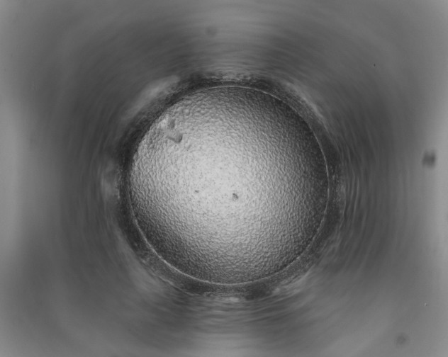 X0000091370643200708171546