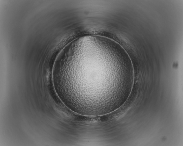 X0000091370646200708171546