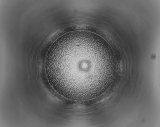 X0000091370648200708171546