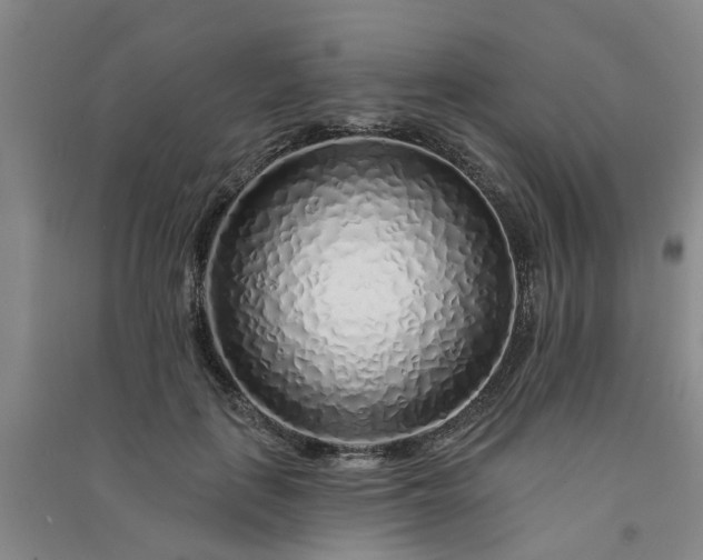 X0000091370651200708171546