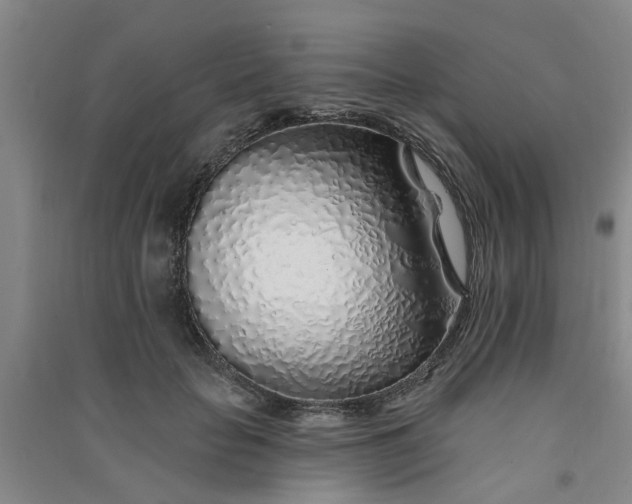 X0000091370653200708171546