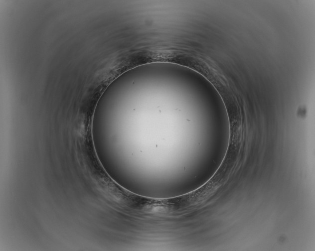 X0000091370655200708171546