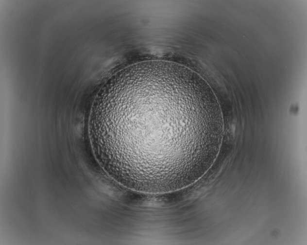 X0000091370656200708171546