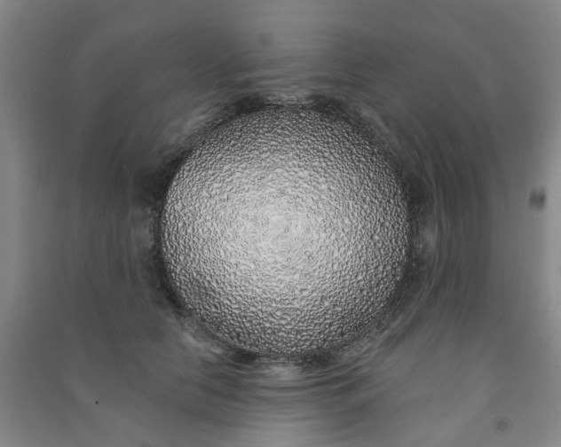 X0000091370658200708171546