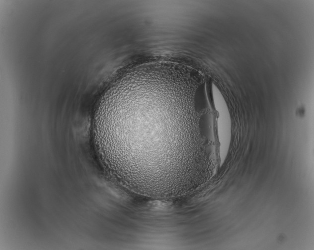 X0000091370660200708171546