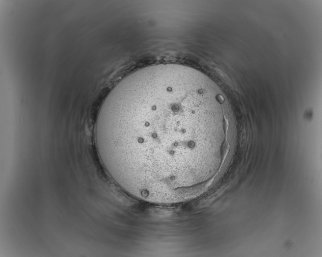 X0000091370661200708171546