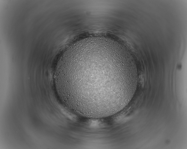 X0000091370662200708171546