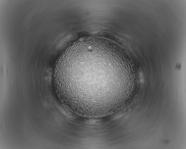 X0000091370664200708171546