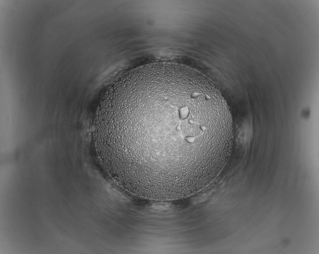 X0000091370666200708171546