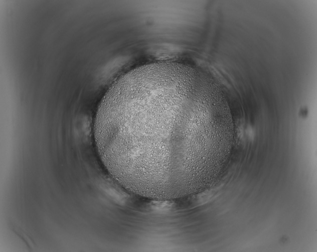 X0000091370667200708171546