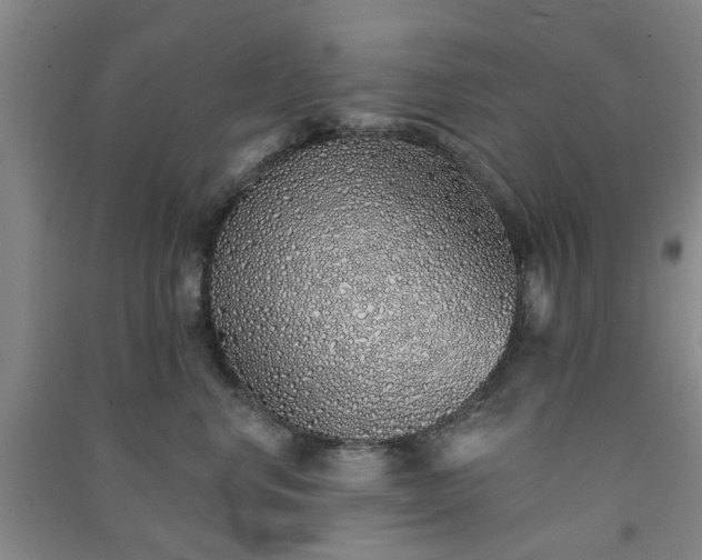 X0000091370668200708171546