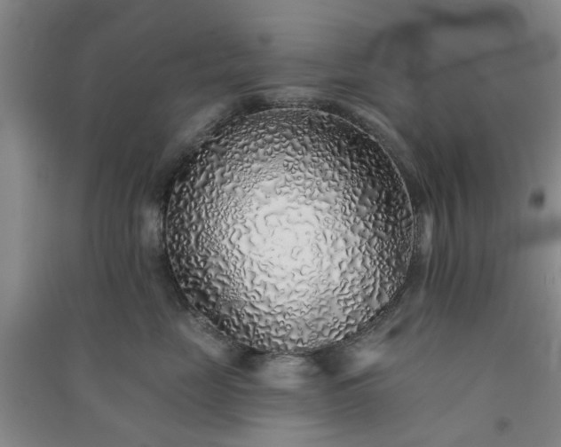 X0000091370669200708171546