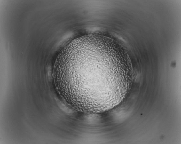 X0000091370670200708171546