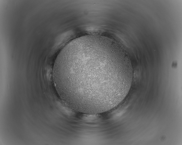 X0000091370671200708171546