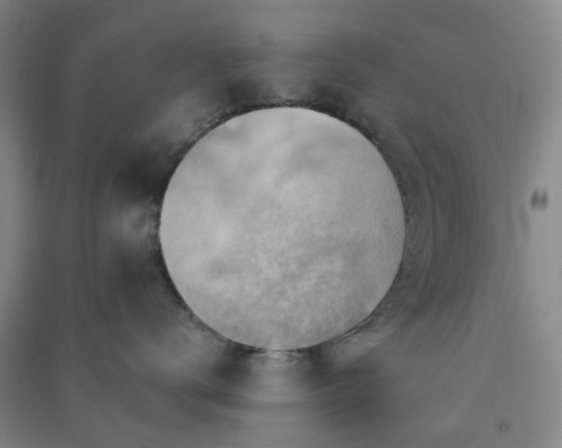 X0000091370672200708171546