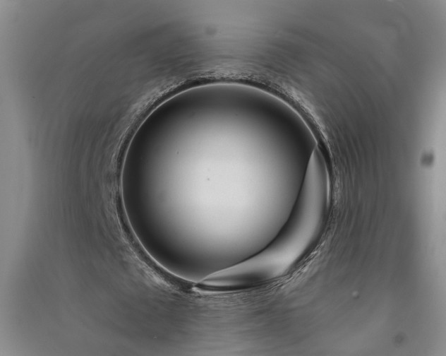 X0000091370673200708171546